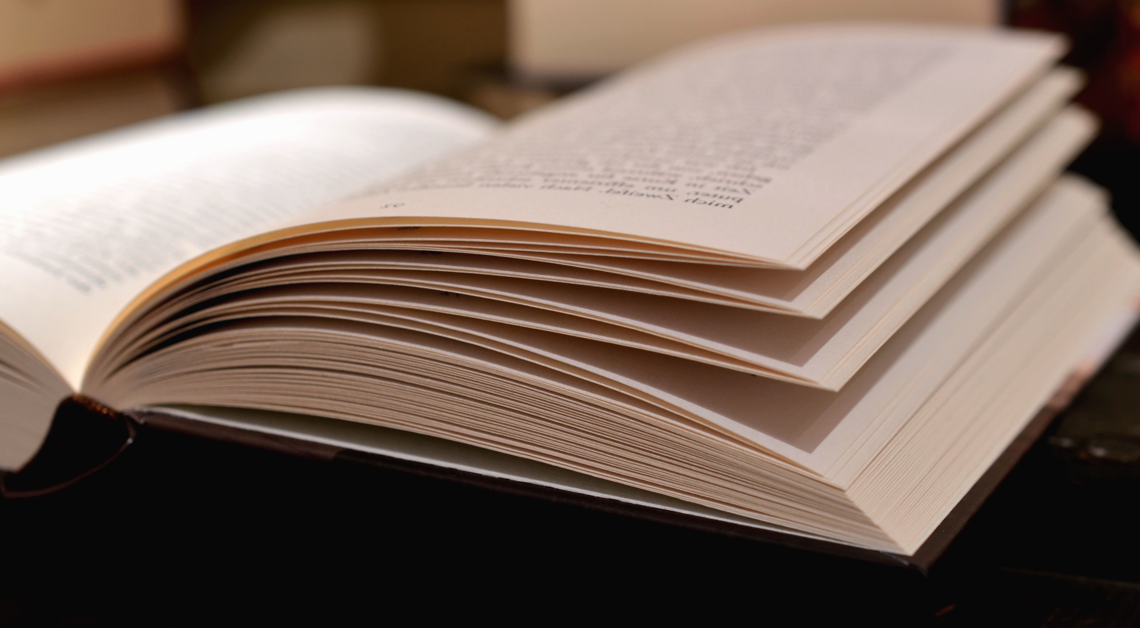pagine di libro aperto